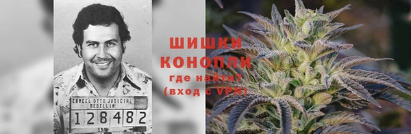 тгк Новодвинск