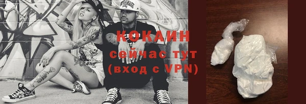 тгк Новодвинск