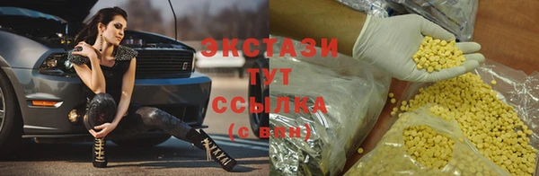 тгк Новодвинск