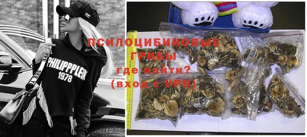 тгк Новодвинск