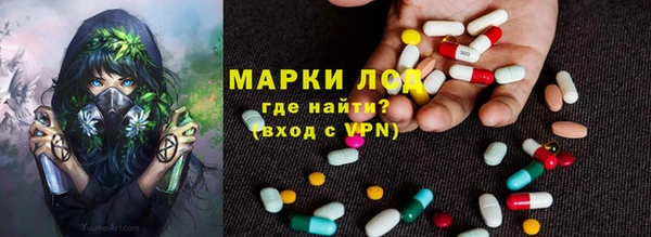 тгк Новодвинск
