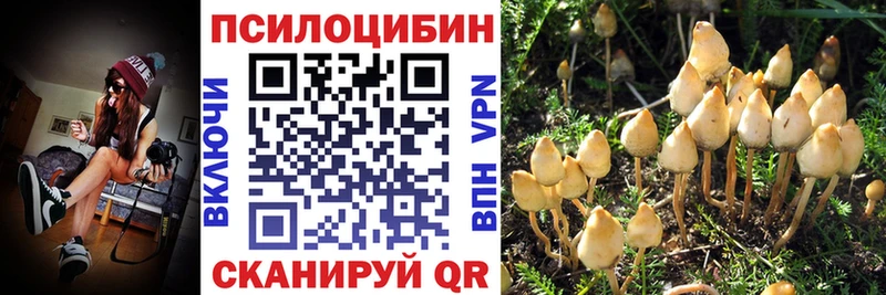 Галлюциногенные грибы ЛСД  Темников 
