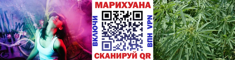 Канабис гибрид  Темников 